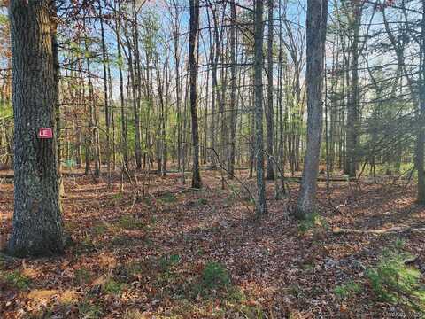 0 Taras Schevchenko Road, Glen Spey, NY 12737