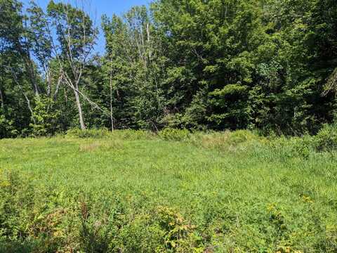 Lot 18 Iisalo Road, Temple, ME 04984