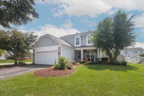 313 Valley Forge Avenue, South Elgin, IL 60177
