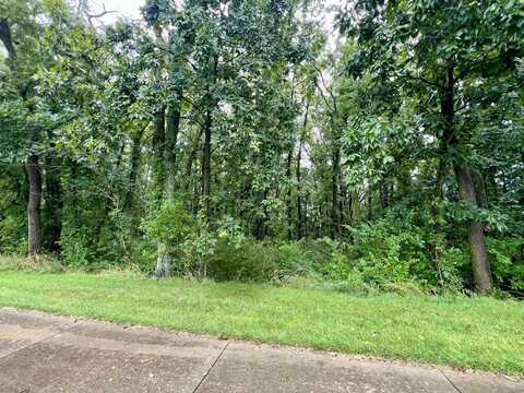 1 Lot, Mahomet, IL 61853