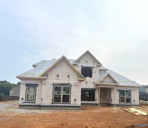 230 Oakland View Drive, Brownsboro, AL 35741