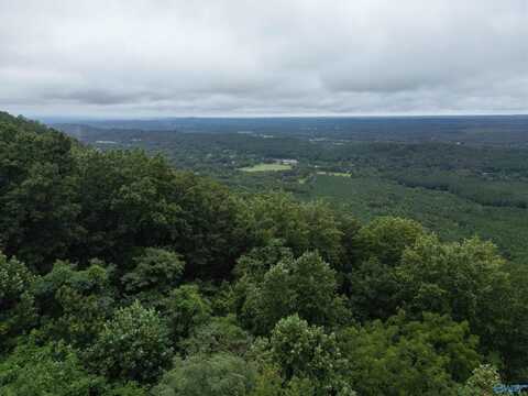 2.59 Ac Scenic Highway, Mentone, AL 35984