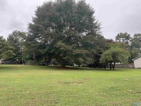 Tbd Petty Lane, Brownsboro, AL 35741