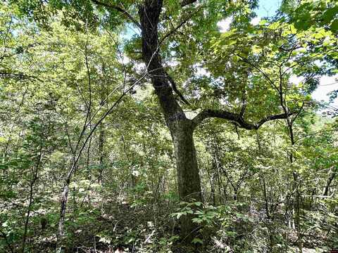 001-04468-000 CR 606, Mountain Home, AR 72653