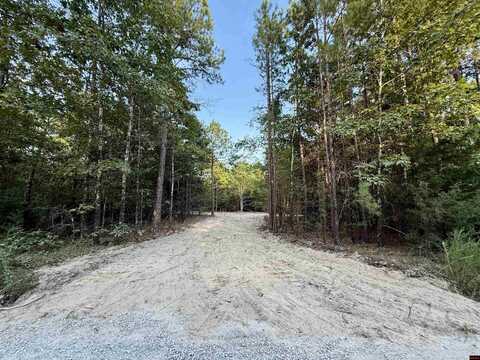 001-01049-000 CR 128, Calico Rock, AR 72519