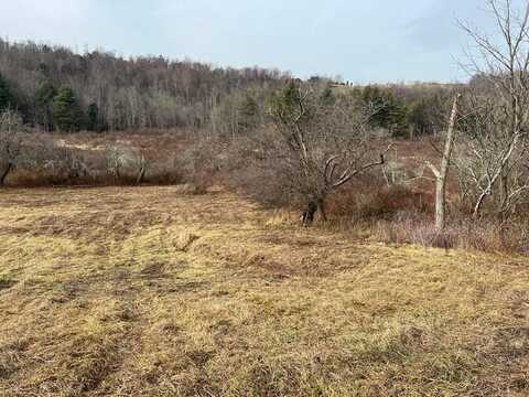 997 State Route 367, Laceyville, PA 18623