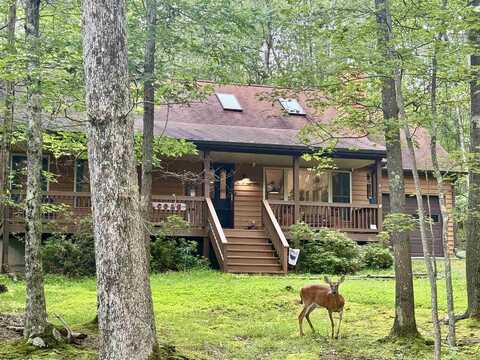409 Aster Drive, Terra Alta, WV 26764