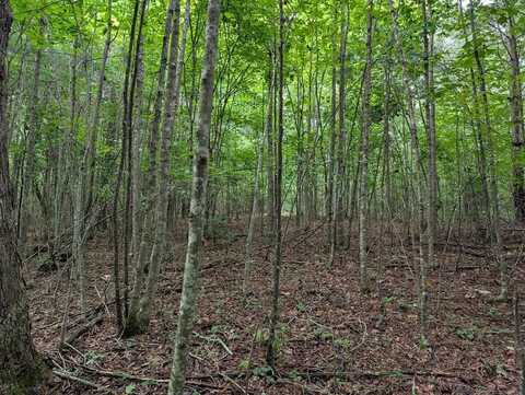 Lot 14 Pine Grove Drive, Epworth, GA 30541