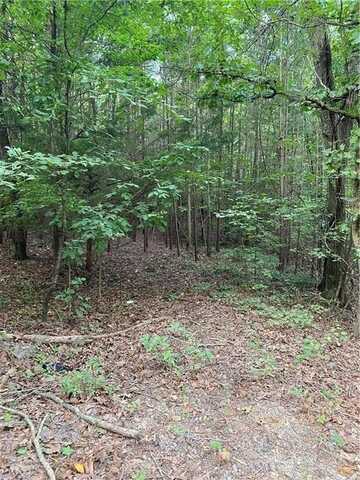 Marie Drive, Ellijay, GA 30175