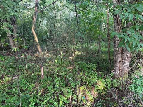 15 Cayuse Trail, Malvern, OH 44644