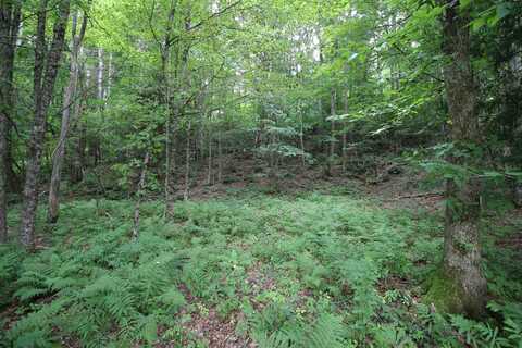 360 Liberty Hill Road, Pittsfield, VT 05762