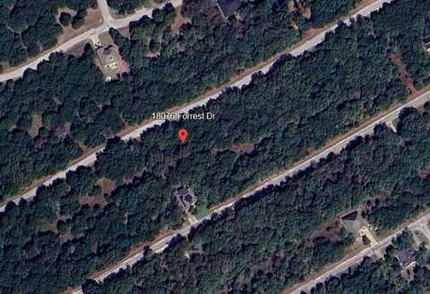 18076 Forrest Drive, Whitney, TX 76692
