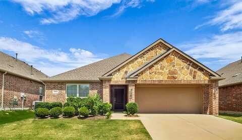 3905 Blessington Drive, Frisco, TX 75036