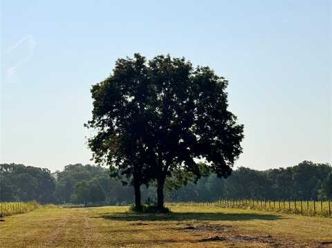 Tbd FM 513, East Tawakoni, TX 75472