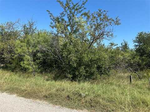 Tbd High Bluff Drive, Bridgeport, TX 76426