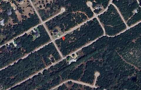 18063 Forrest Drive, Whitney, TX 76692
