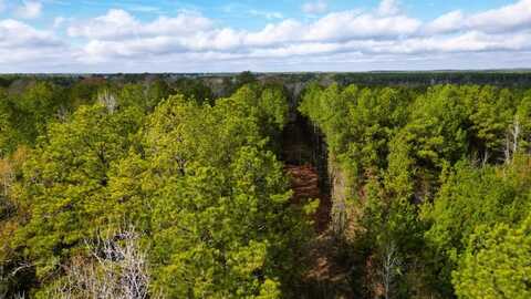 248 County Road 1047, Wiergate, TX 75977