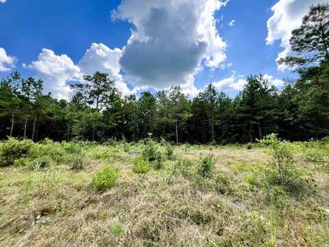 248 County Road 1047, Wiergate, TX 75977