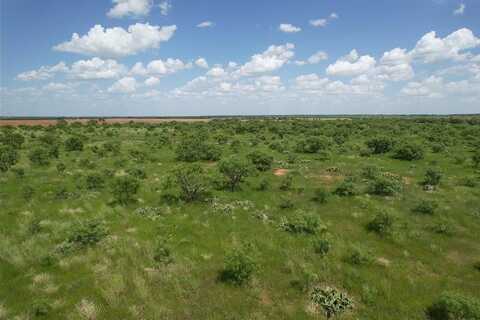 Tbd 10+- Acres Cr 495, Hawley, TX 79525
