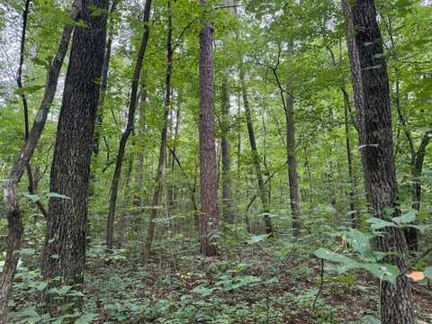 0 Carnes Chapel Rd., Attalla, AL 35954