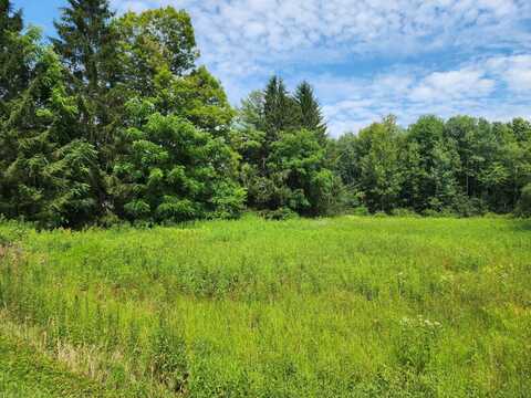0 School St, Findley Lake, NY 14736