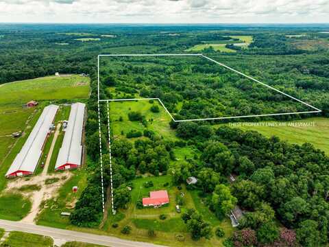 75+/- acres S County Rd 67, Midland City, AL 36350