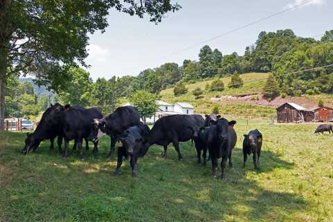 2642 Madam Creek, Hinton, WV 25951