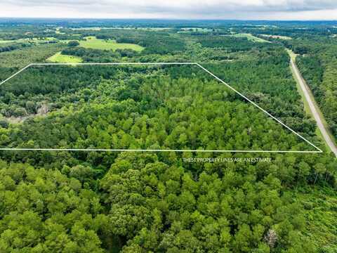 40+/- Acres Stephenson Rd, Coffee Springs, AL 36318