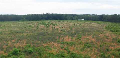 0 Hammond Rd, Jayess, MS 39654