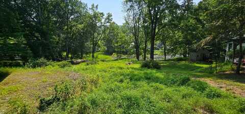 Lot 10 Odd Fellows Hall St, Narrowsburg, NY 12764