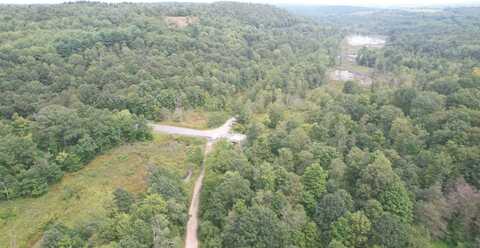 0 Parsonville Rd WP Lot001, Osceola Mills, PA 16666