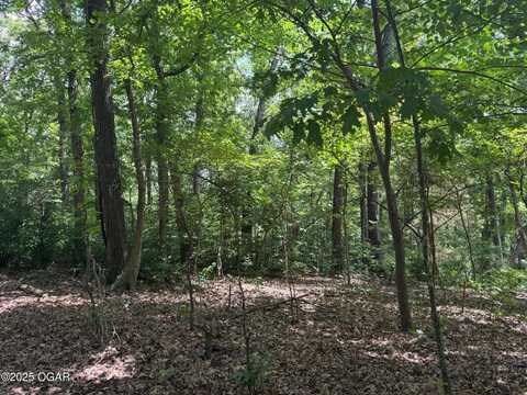 000 Twin Springs Drive, Cassville, MO 65625