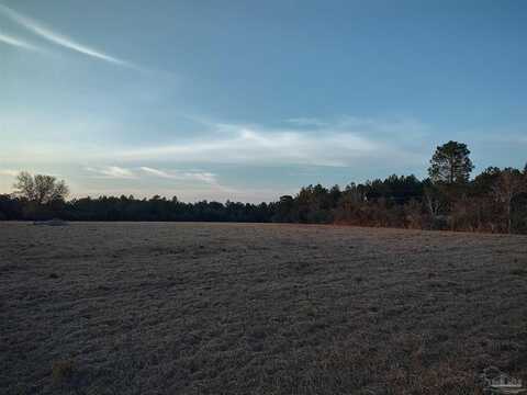 0000 Pat Brown Rd, Milton, FL 32570
