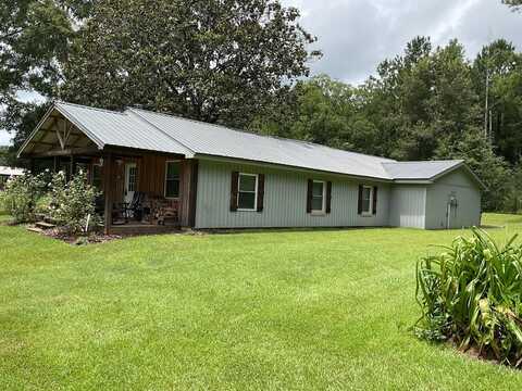 208 Davis Pond Road, Luverne, AL 36049