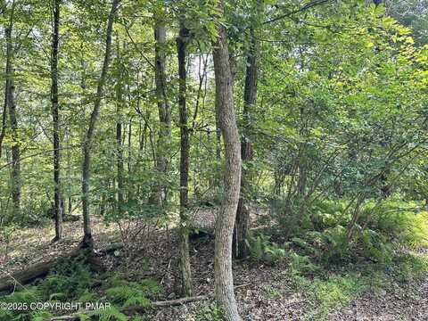 St Moritz Ct 3F, Henryville, PA 18332