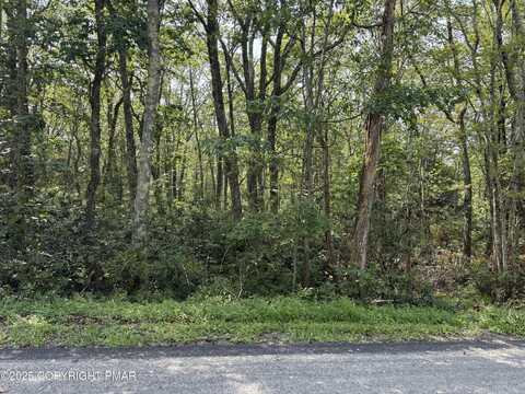 L135 Penn Spring Drive, Jim Thorpe, PA 18229