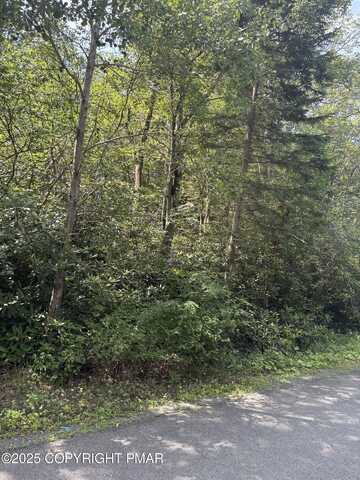 Long View Ln 36, Pocono Summit, PA 18350