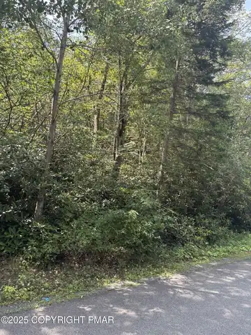 Long View Ln 36 Lane, Pocono Summit, PA 18350