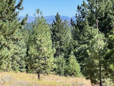 1725 Grizzly Road, Portola, CA 96122