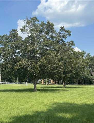 NHN Dronet Road, Carriere, MS 39426