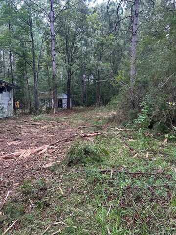 65 Serenity Lane, Poplarville, MS 39470
