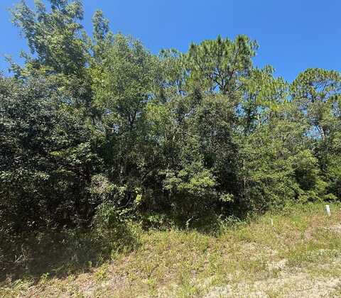 2 Ramsey Way, Panacea, FL 32446