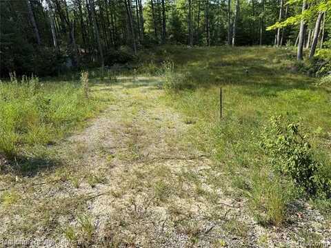 556 Robinhood Drive N, Hubbard Lake, MI 49747