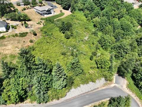 1120 INSEL RD, Woodland, WA 98674