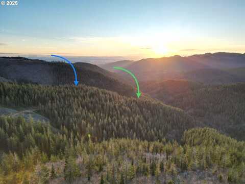Skamania Mines Rd, Washougal, WA 98671