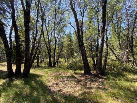 1-C-25 Mt Shasta Dr, McCloud, CA 96057