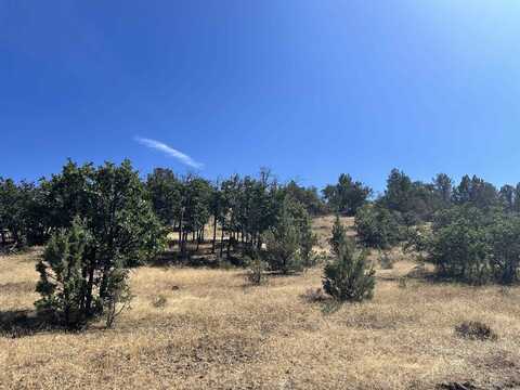 Unit 5 Lot #103 Greenfinch Way, Hornbrook, CA 96044