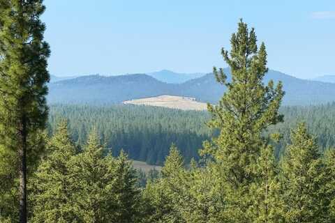 84xx Lodge Pole Ln, Chattaroy, WA 99003