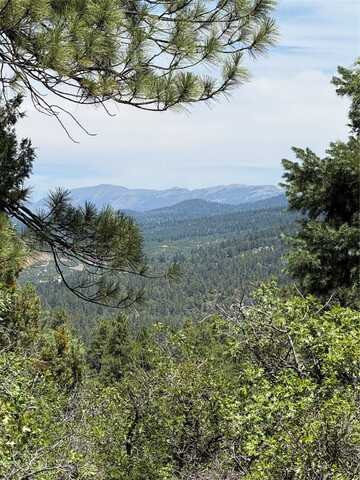 381 Buckman Rd, Chama, NM 87520