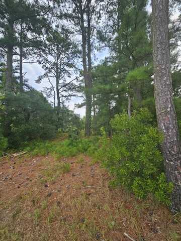 LOT 111 HIBISCUS DR, CHINCOTEAGUE, VA 23336
